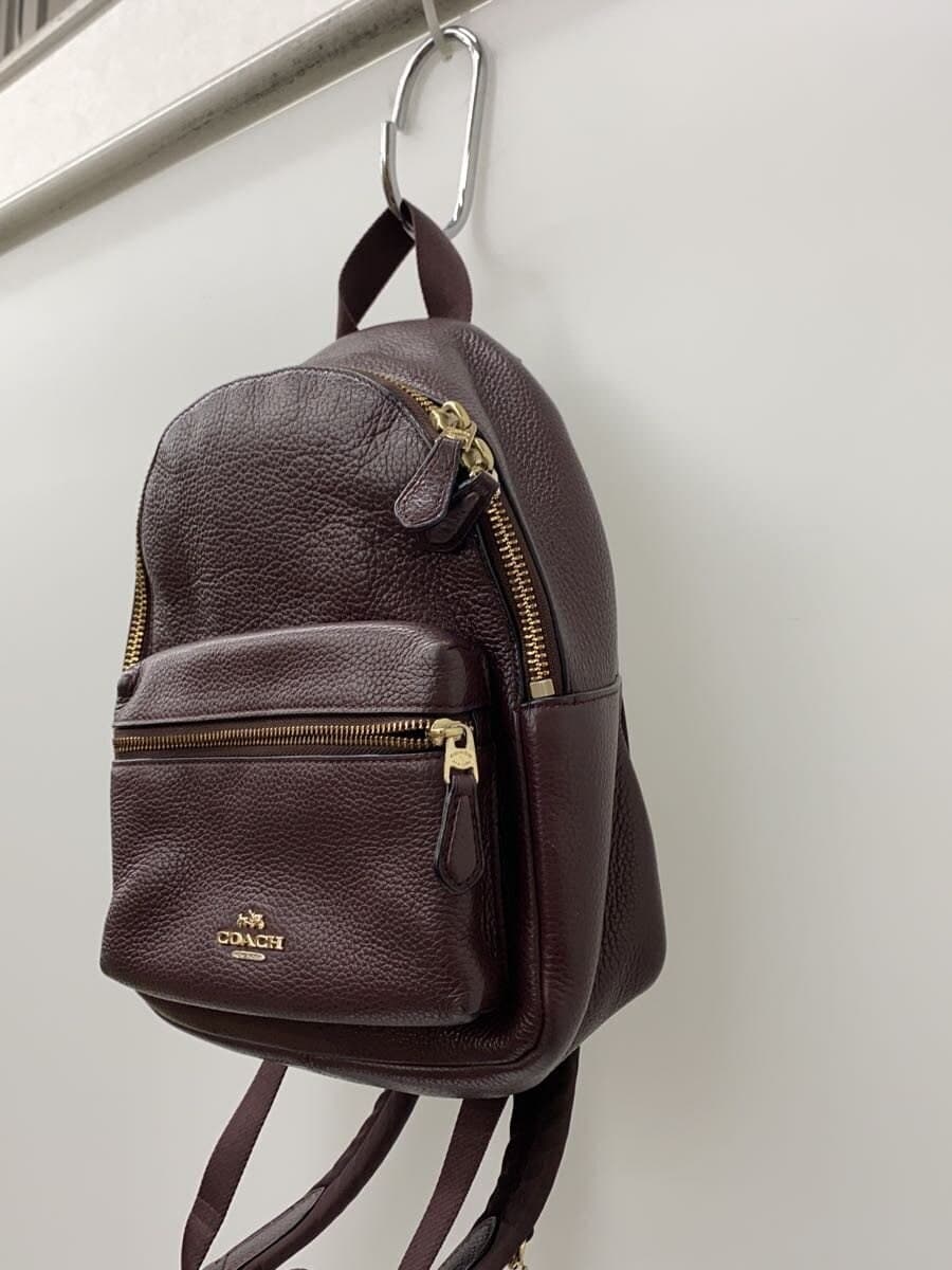 COACH Mini Charlie Backpack Leather BRD 2