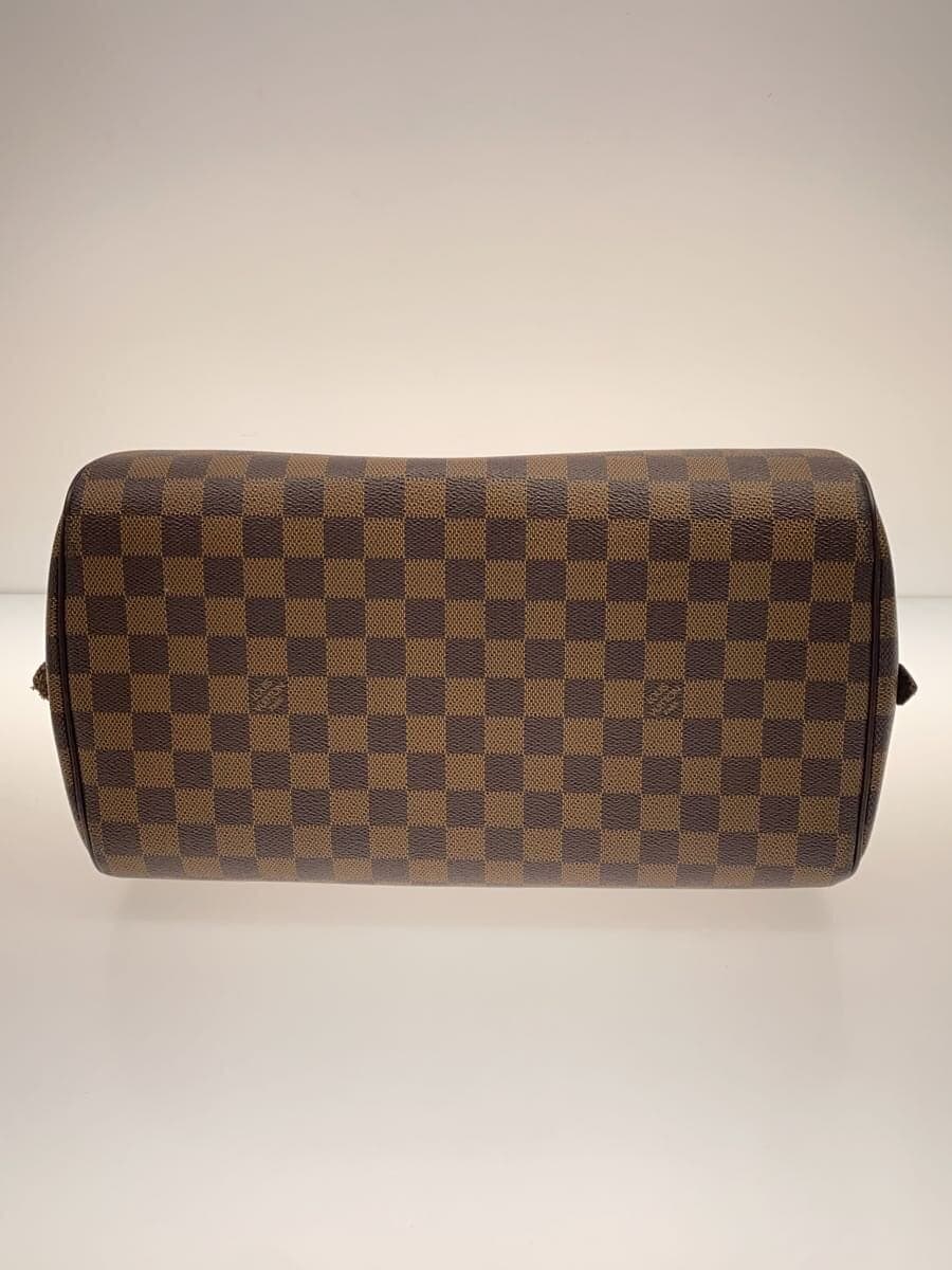 LOUIS VUITTON Riviera MM Damier Ebene PVC BRW N41434 4