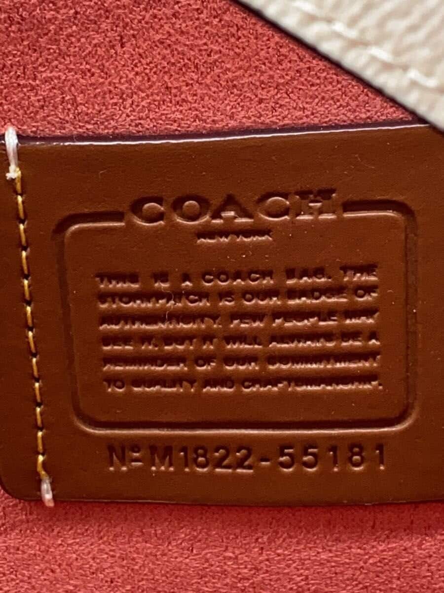 COACH Tote Bag_Floral _Floral PVC PNK Floral 5