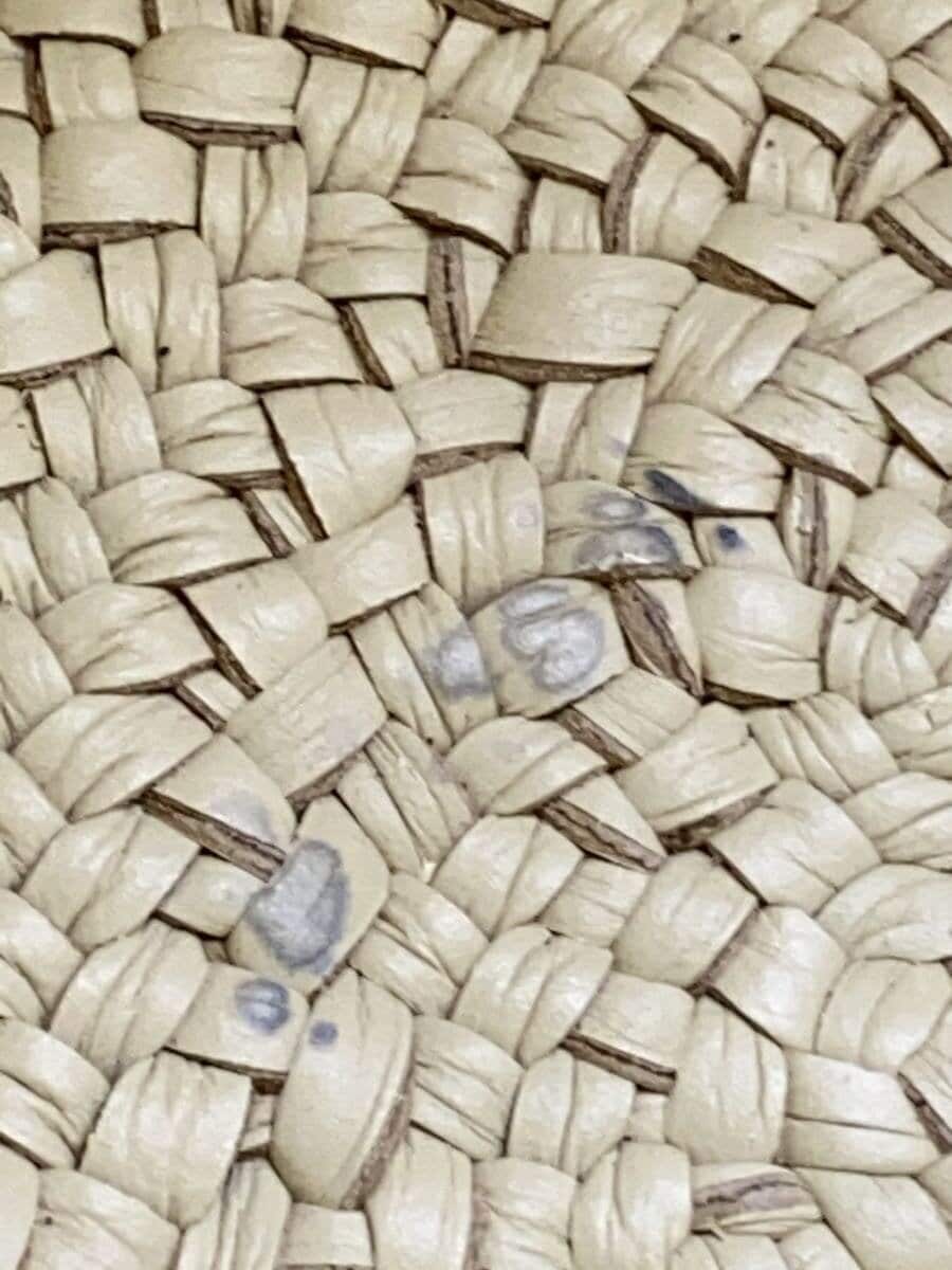 Aeta Basket Bag Cowhide CRM 7