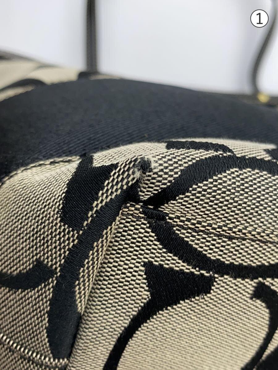 COACH Handbag_Signature Canvas BLK 7