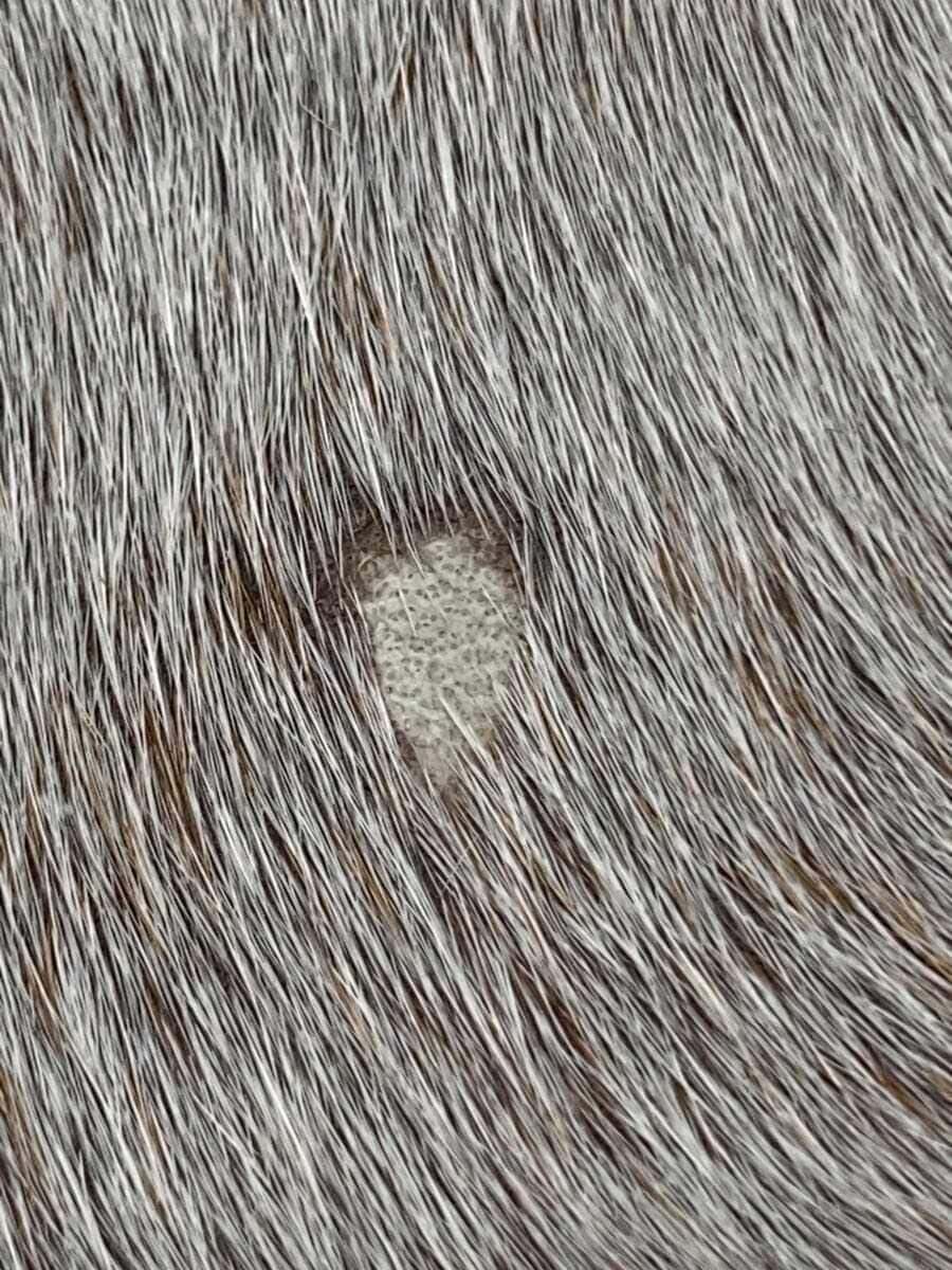 Other brand tote bag Harako GRY 6