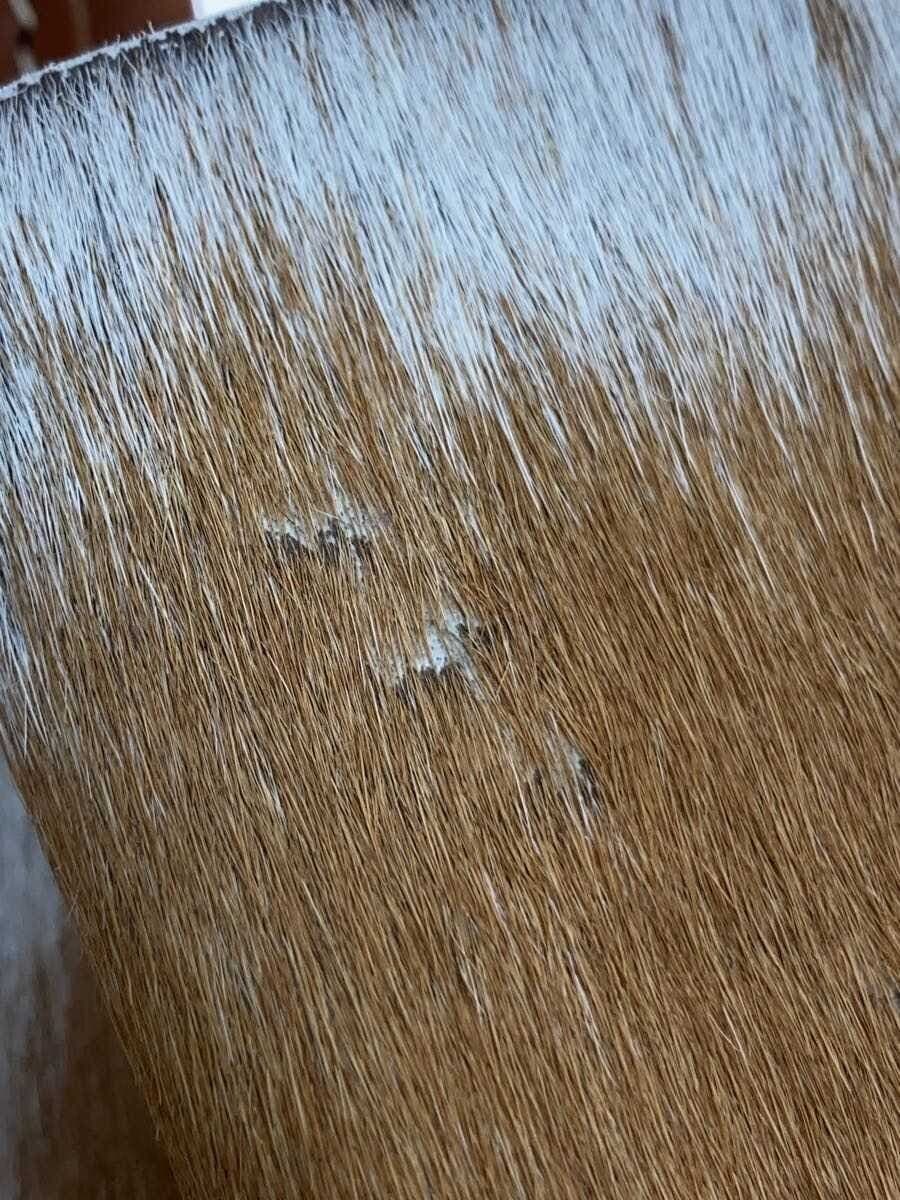 Other brand tote bag Harako GRY 7