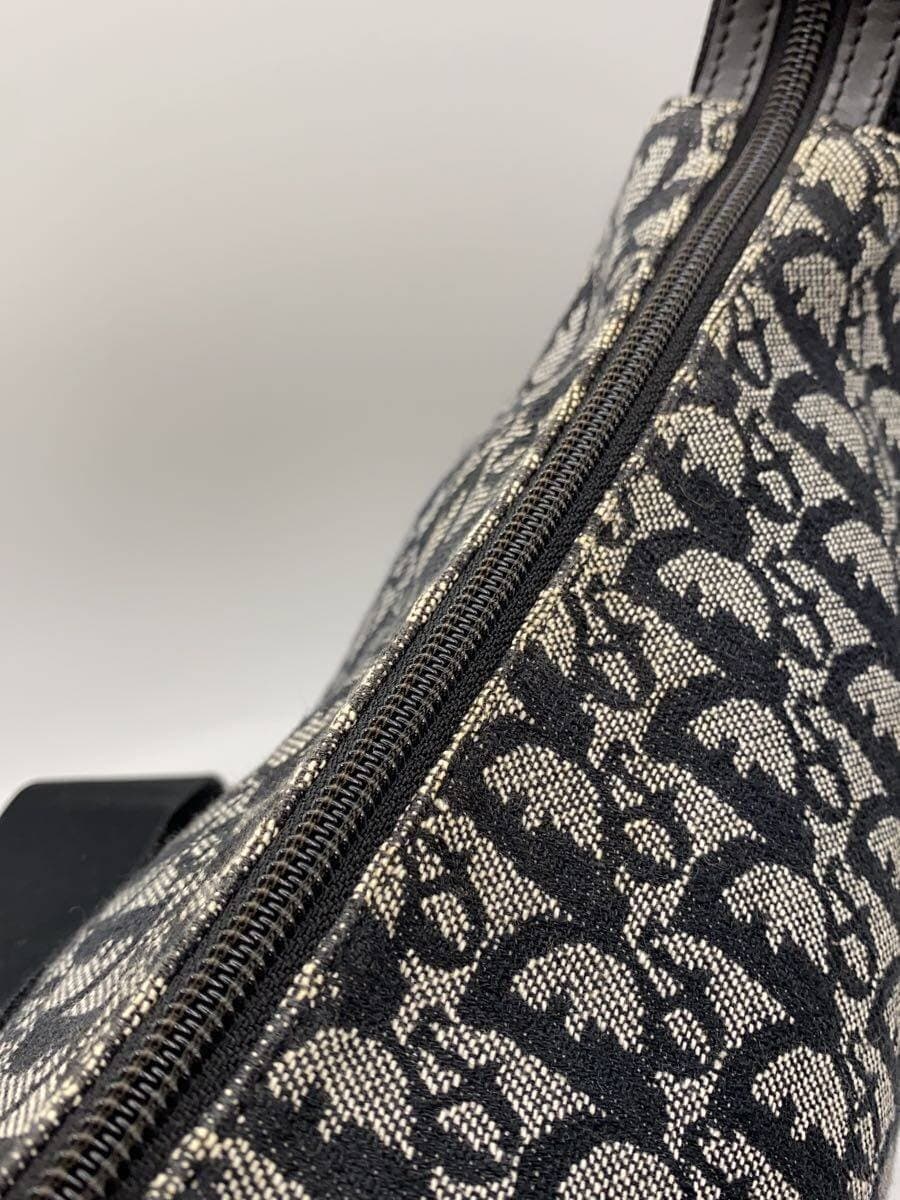 Christian Dior Trotter Shoulder Logo Shoulder Bag Canvas BLK All Over Pattern 9