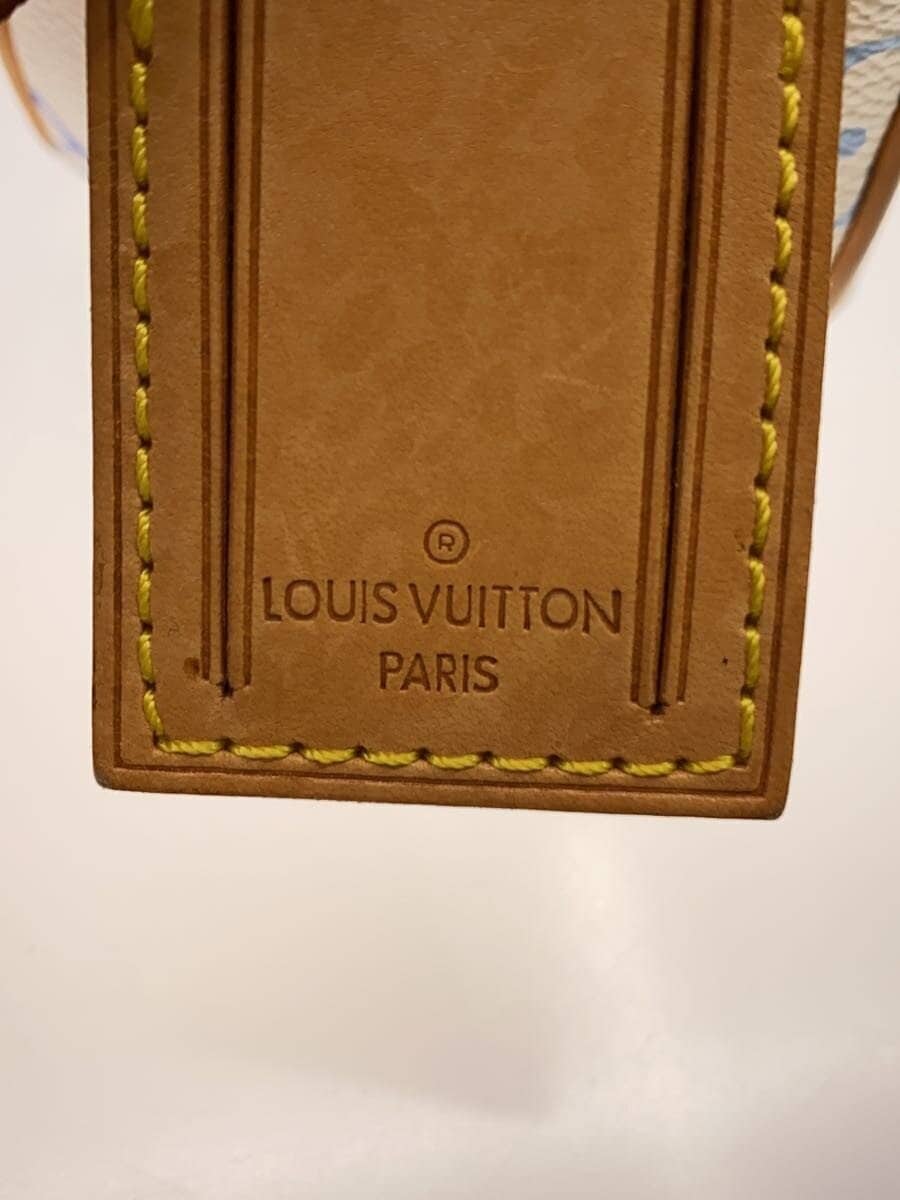 LOUIS VUITTON Lodge GM_Monogram Multicolor_Bron Canvas WHT 5