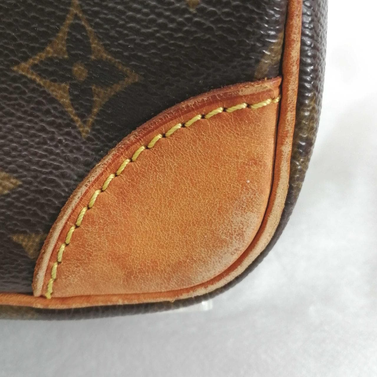 Monogram Amazon M45236 5