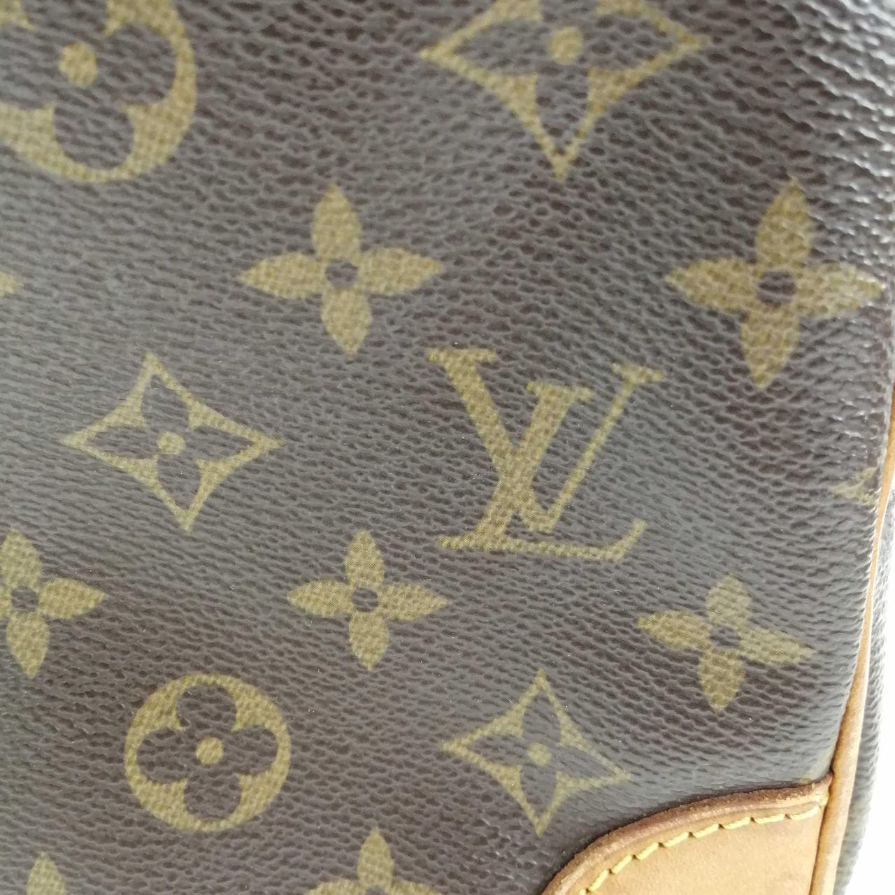 Monogram Amazon M45236 9