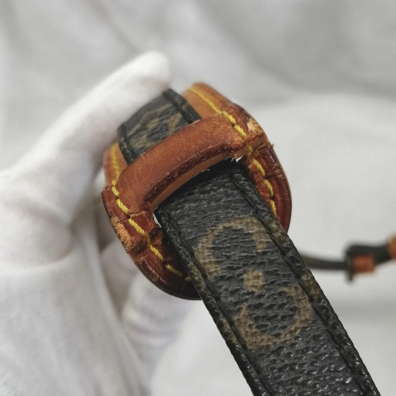 Monogram Amazon M45236 10