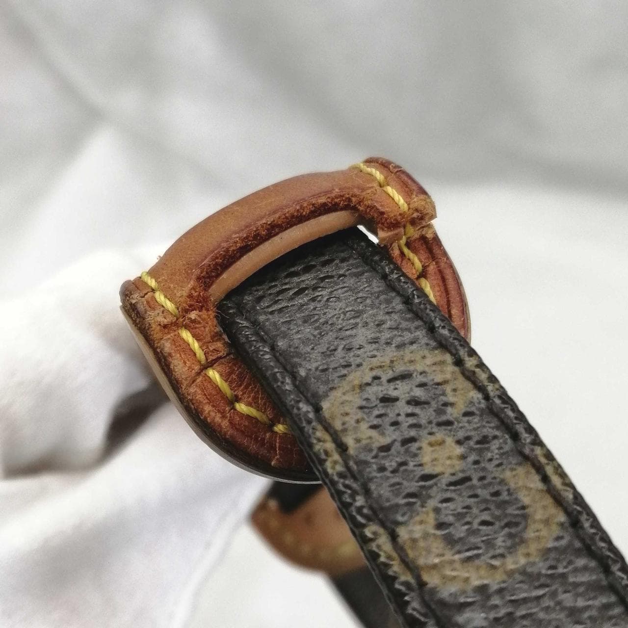 Monogram Amazon M45236 11