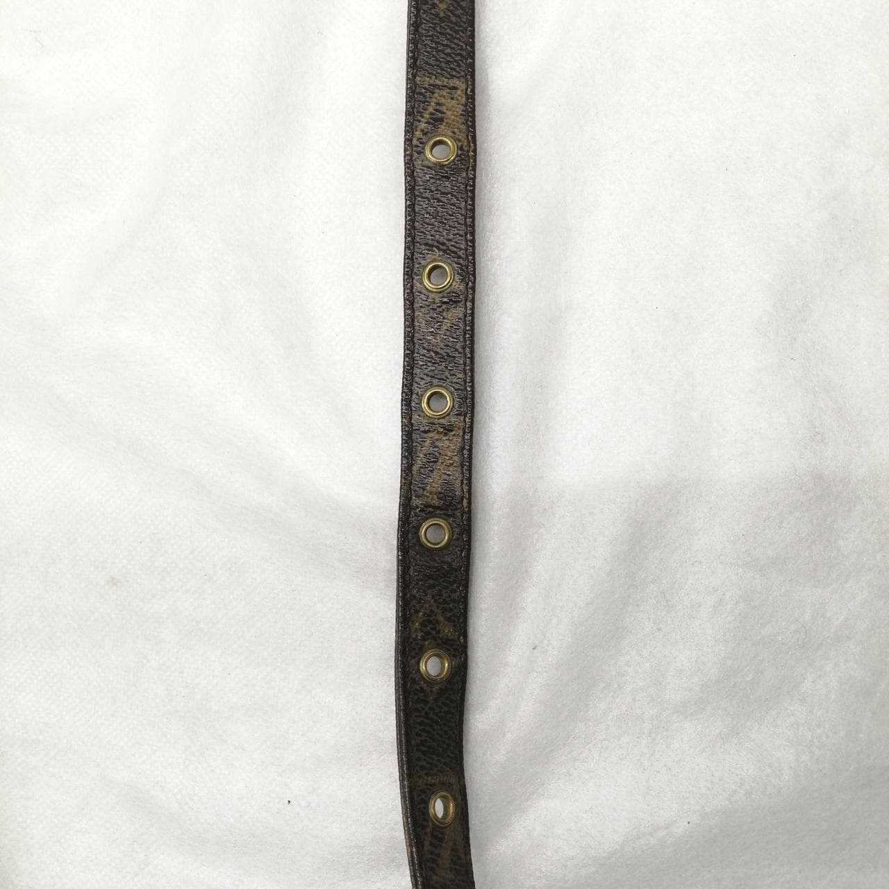 Monogram Amazon M45236 12