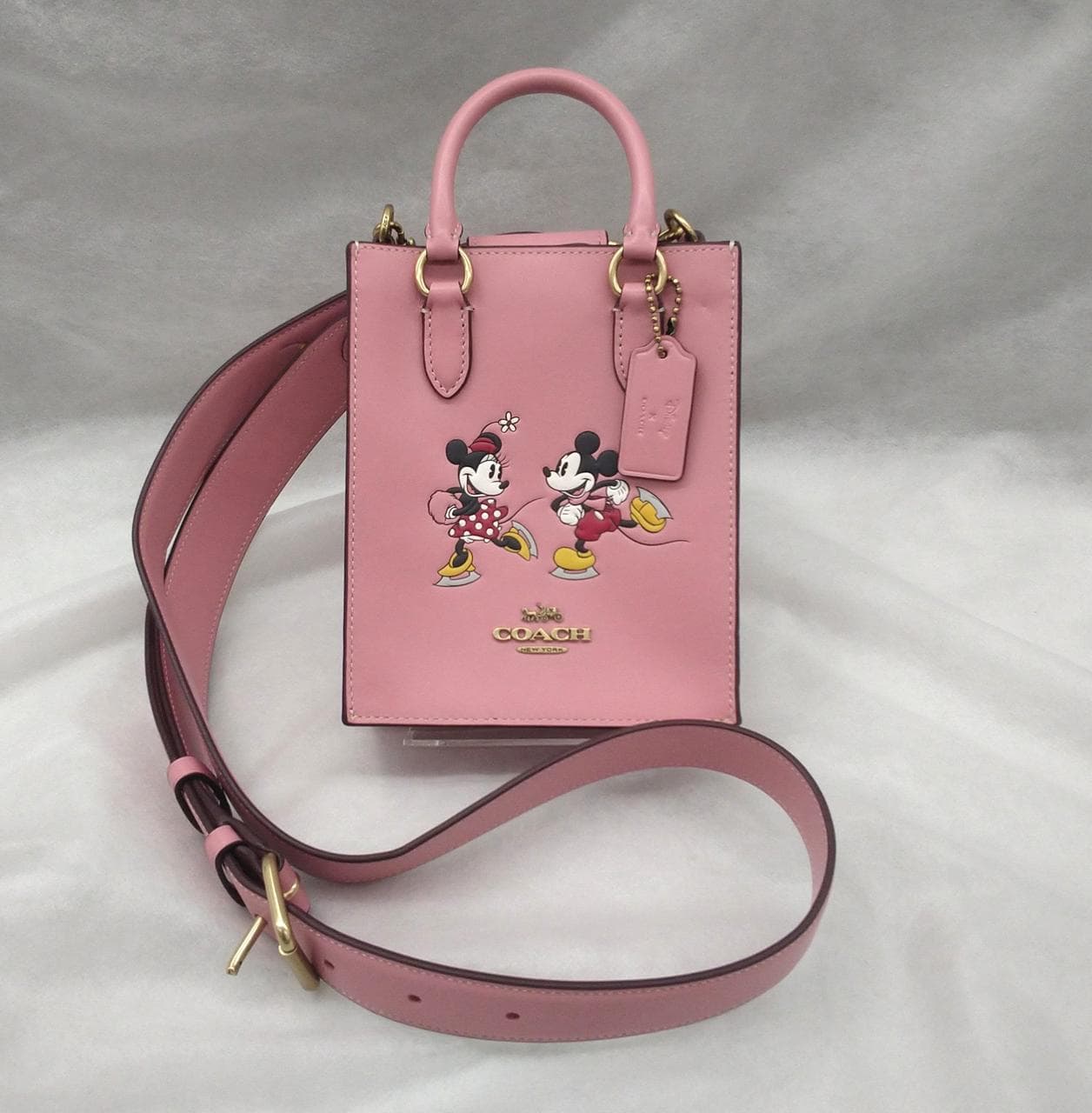 North South Mini Shoulder Mickey Minnie Skate