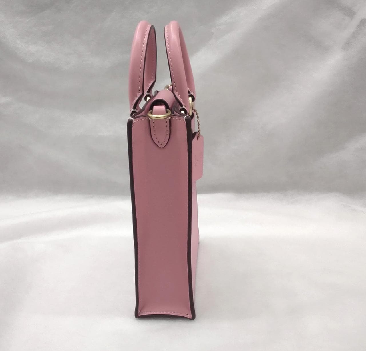 North South Mini Shoulder Mickey Minnie Skate 5