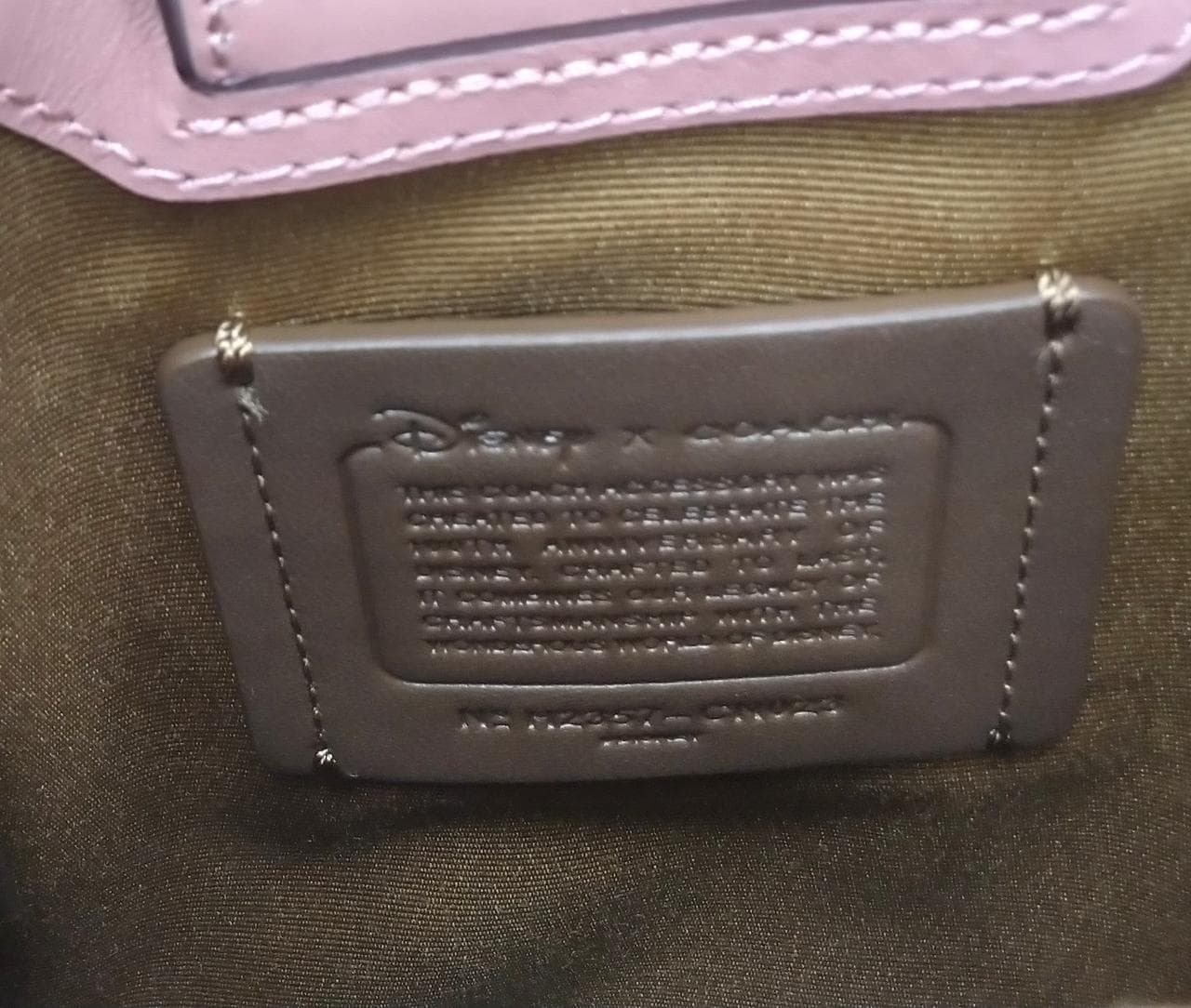 North South Mini Shoulder Mickey Minnie Skate 6