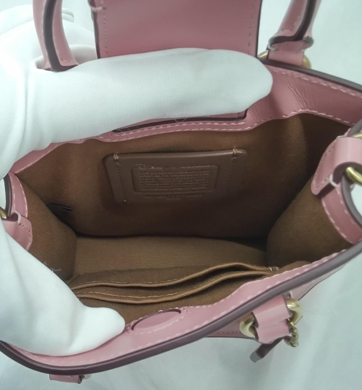 North South Mini Shoulder Mickey Minnie Skate 7