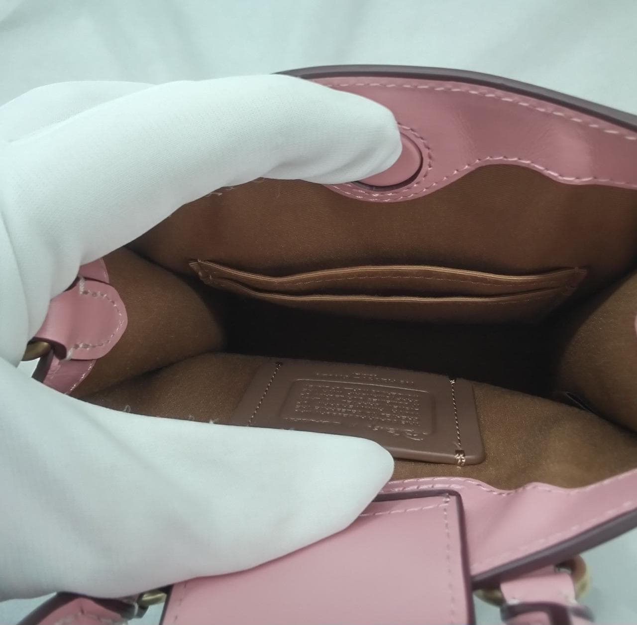 North South Mini Shoulder Mickey Minnie Skate 8