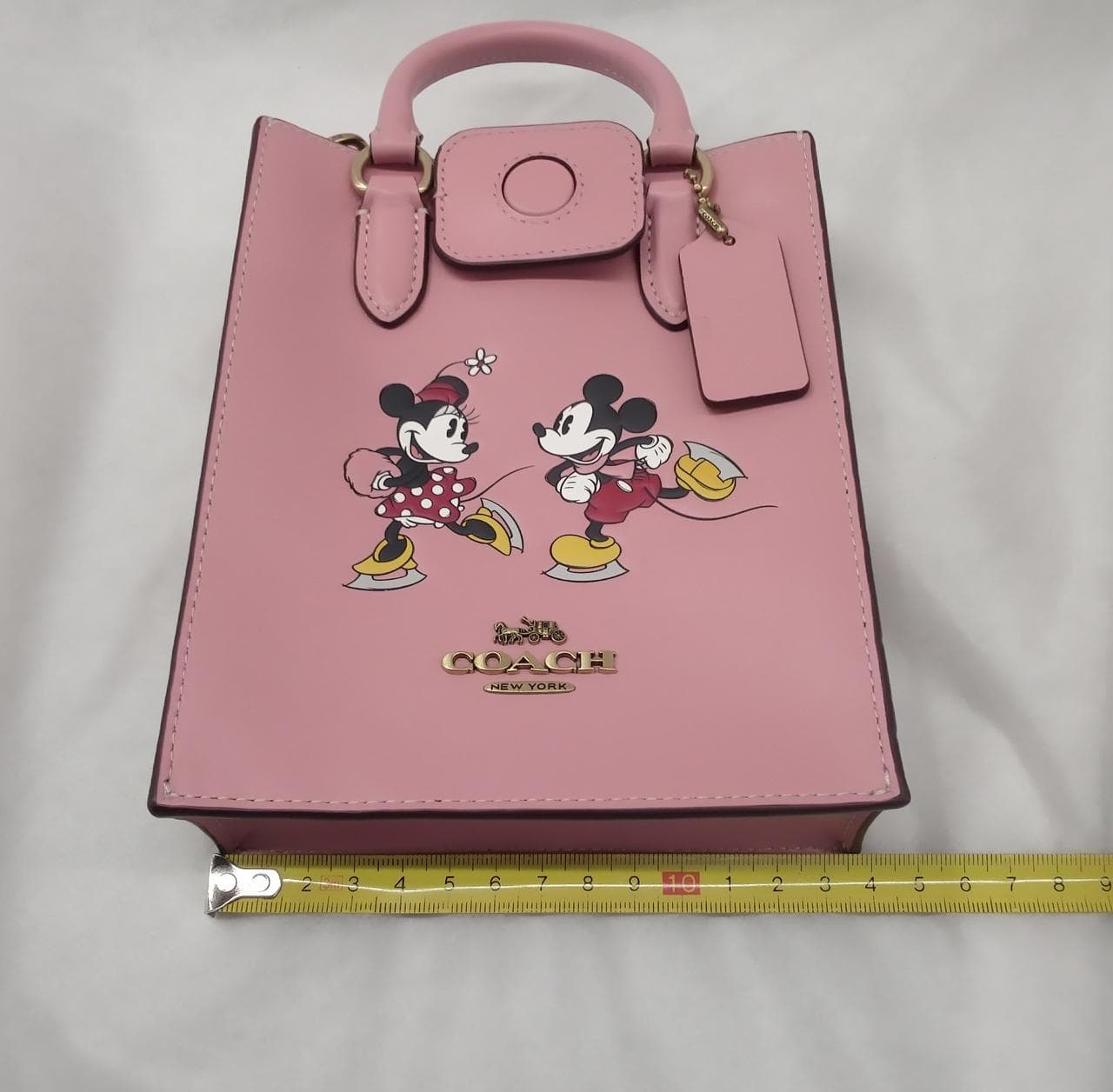 North South Mini Shoulder Mickey Minnie Skate 10