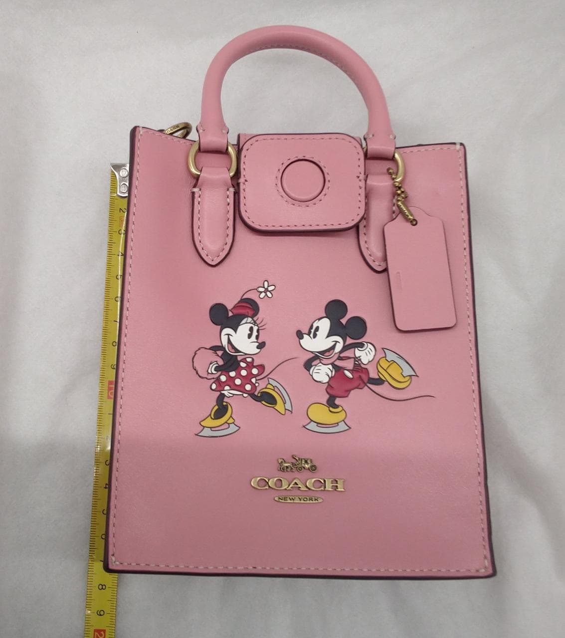 North South Mini Shoulder Mickey Minnie Skate 11