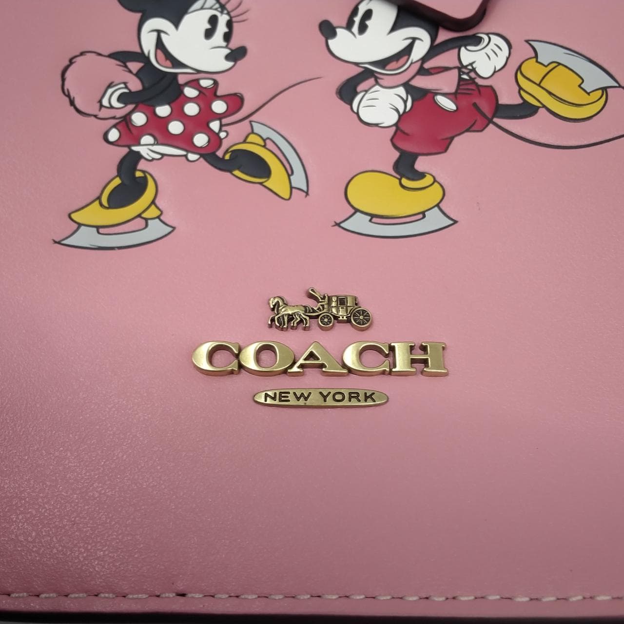 North South Mini Shoulder Mickey Minnie Skate 14