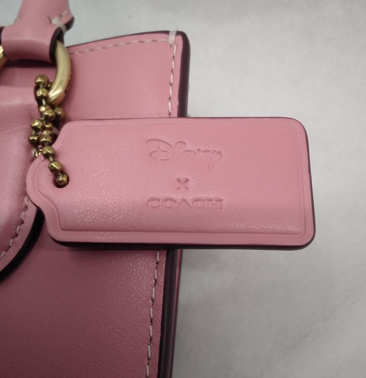 North South Mini Shoulder Mickey Minnie Skate 15