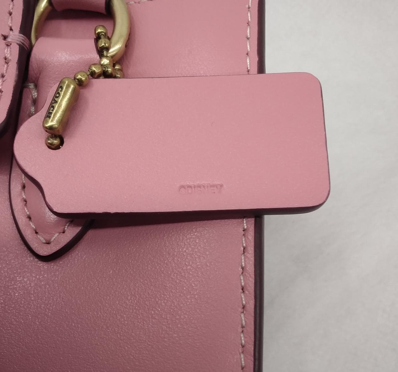 North South Mini Shoulder Mickey Minnie Skate 16