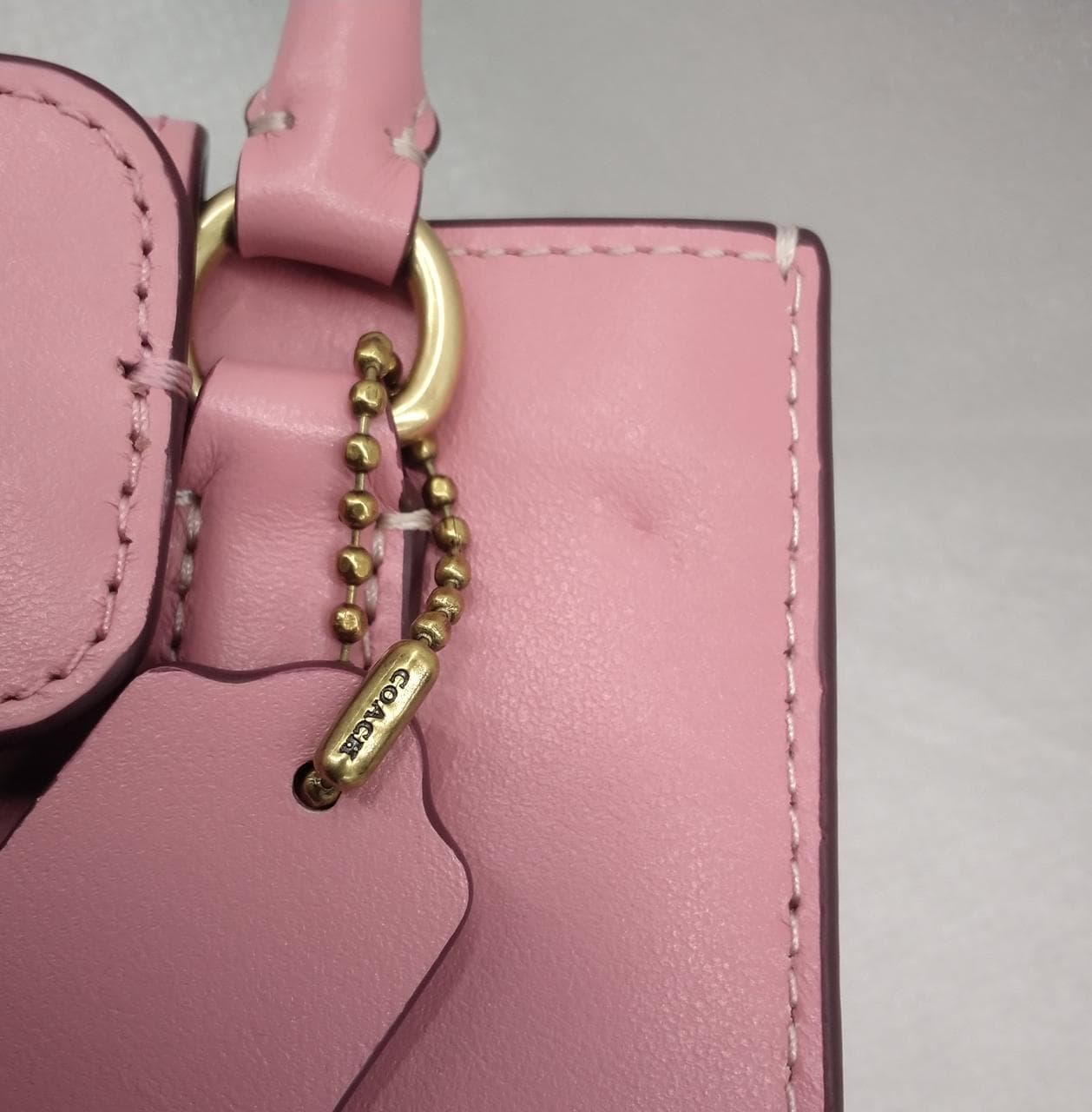 North South Mini Shoulder Mickey Minnie Skate 17