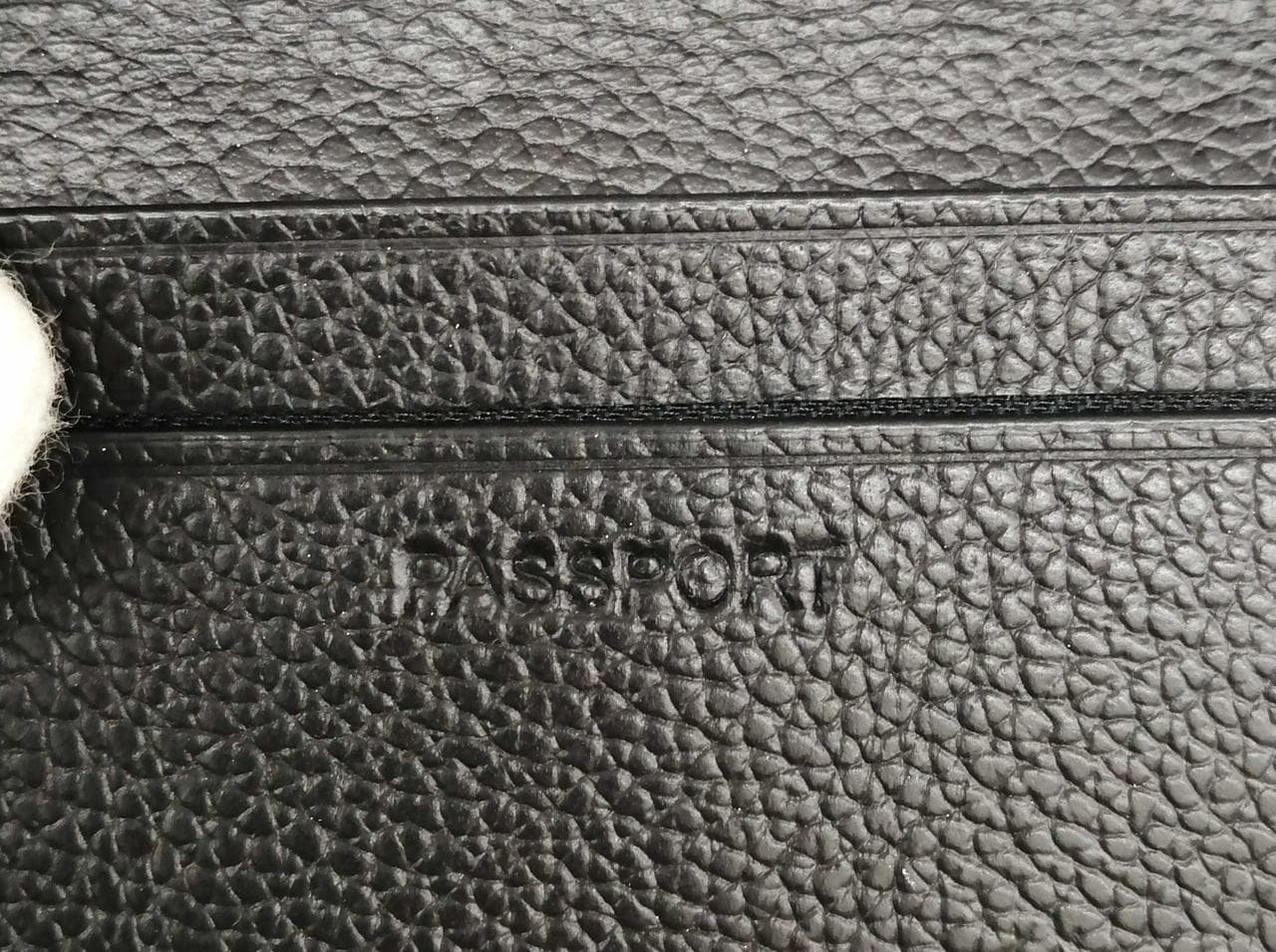 Passport Case F22538 8