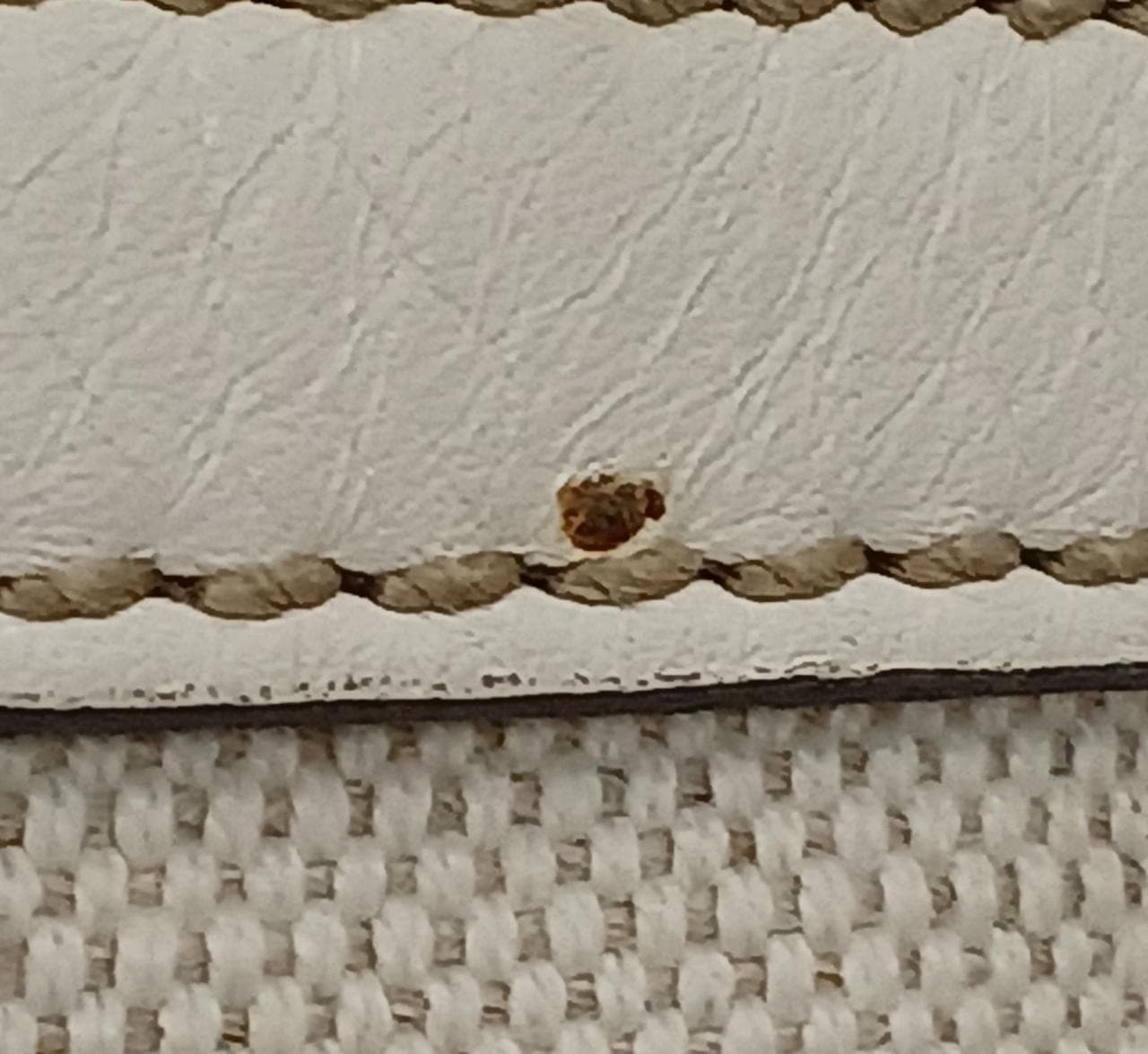 Shelley Line Tote Bag 232973 20