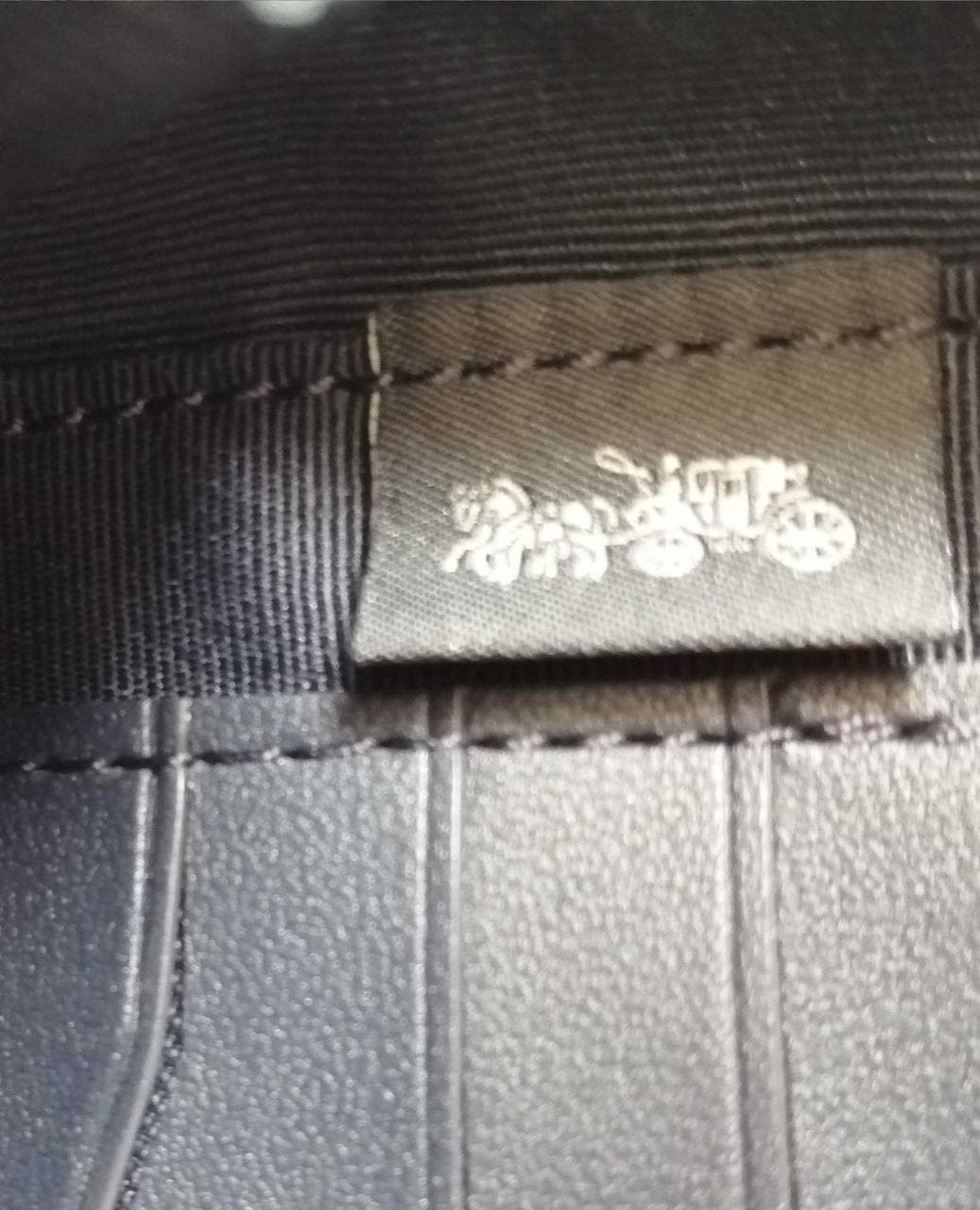 Eva Phone Crossbody CB854 11