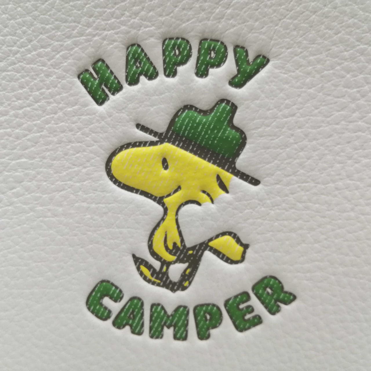 PEANUTS collaboration mini Serena crossbody C4600 2