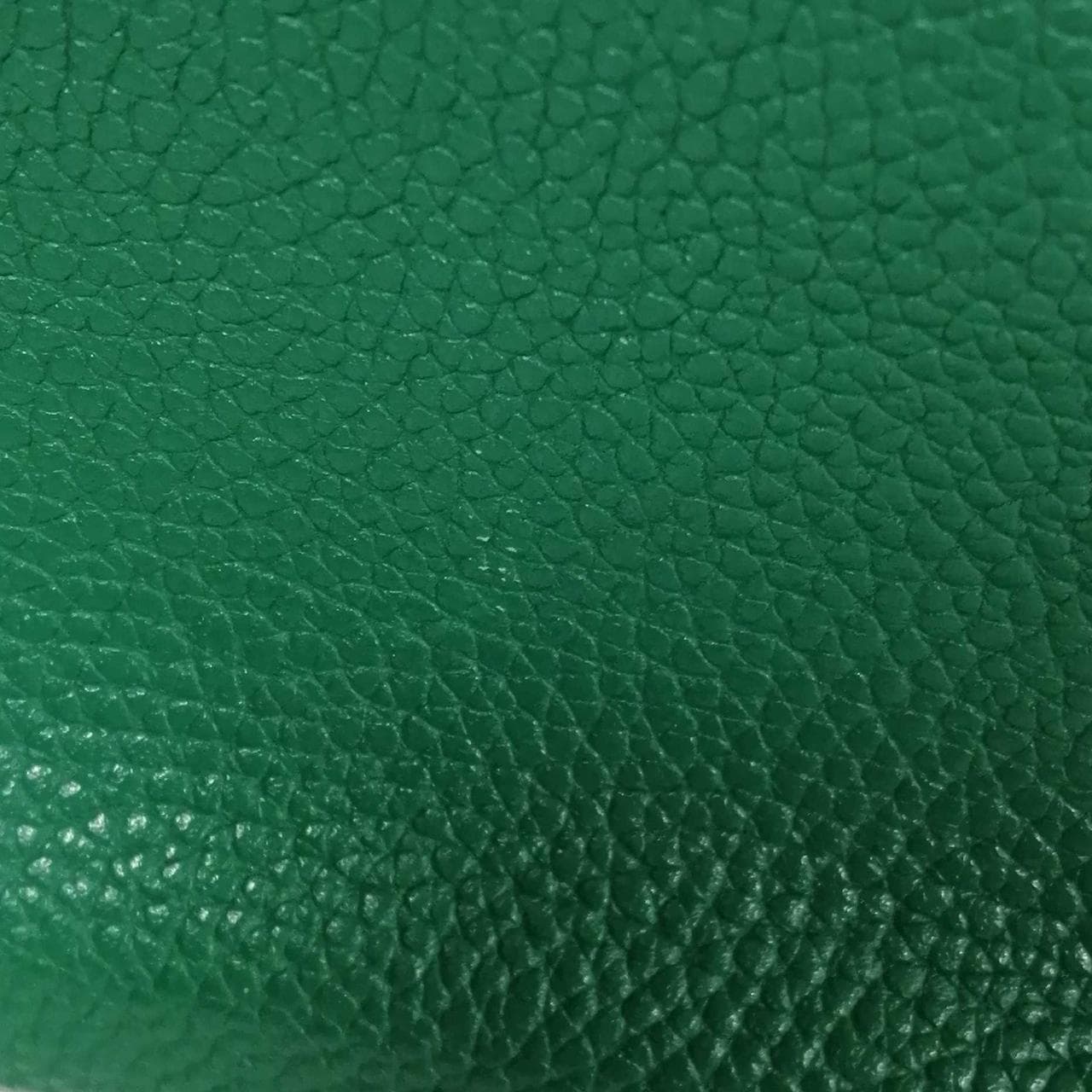 Chain Mini Handbag GREEN 15