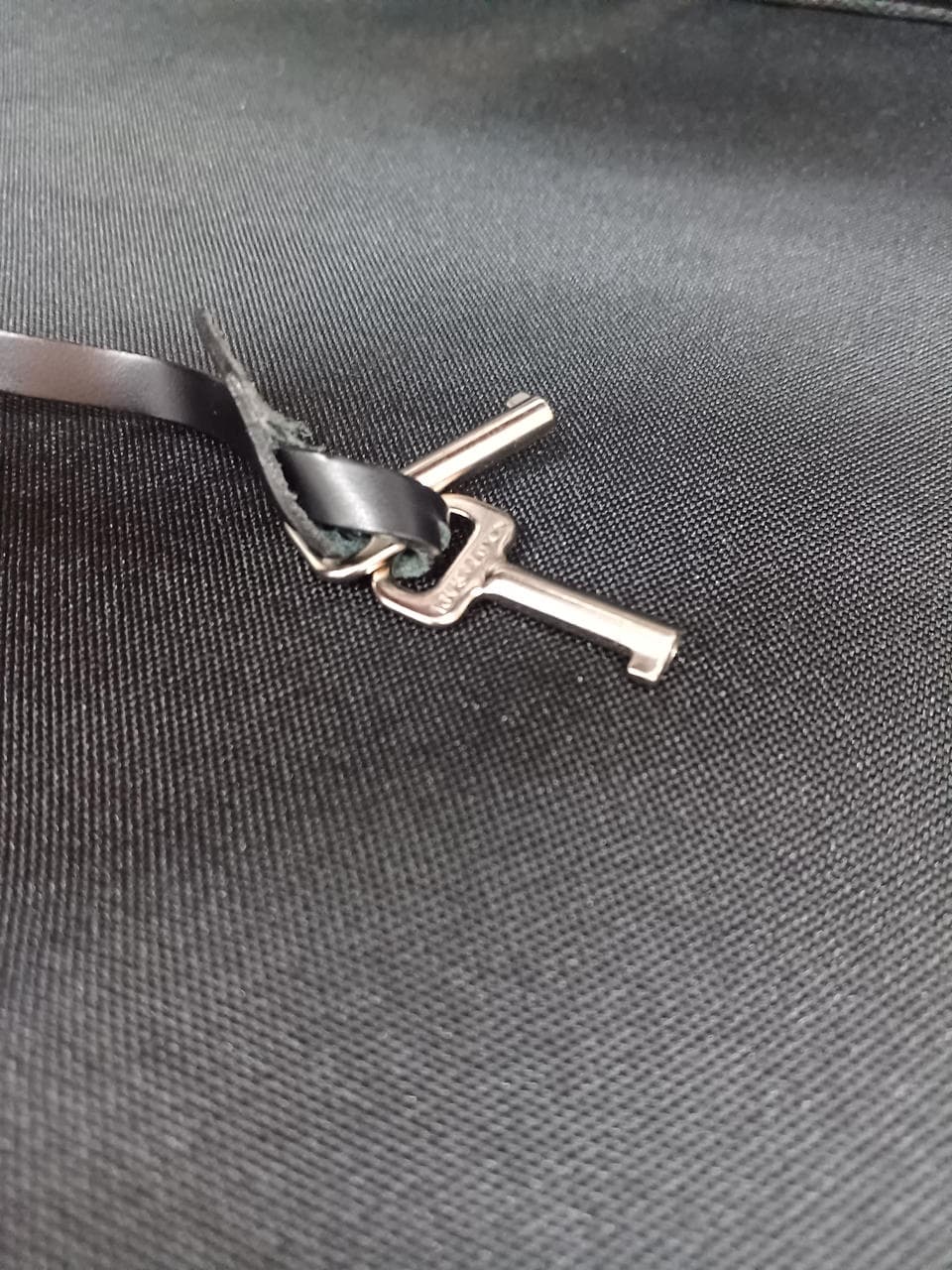 Robust 2 Tiger M31042 8