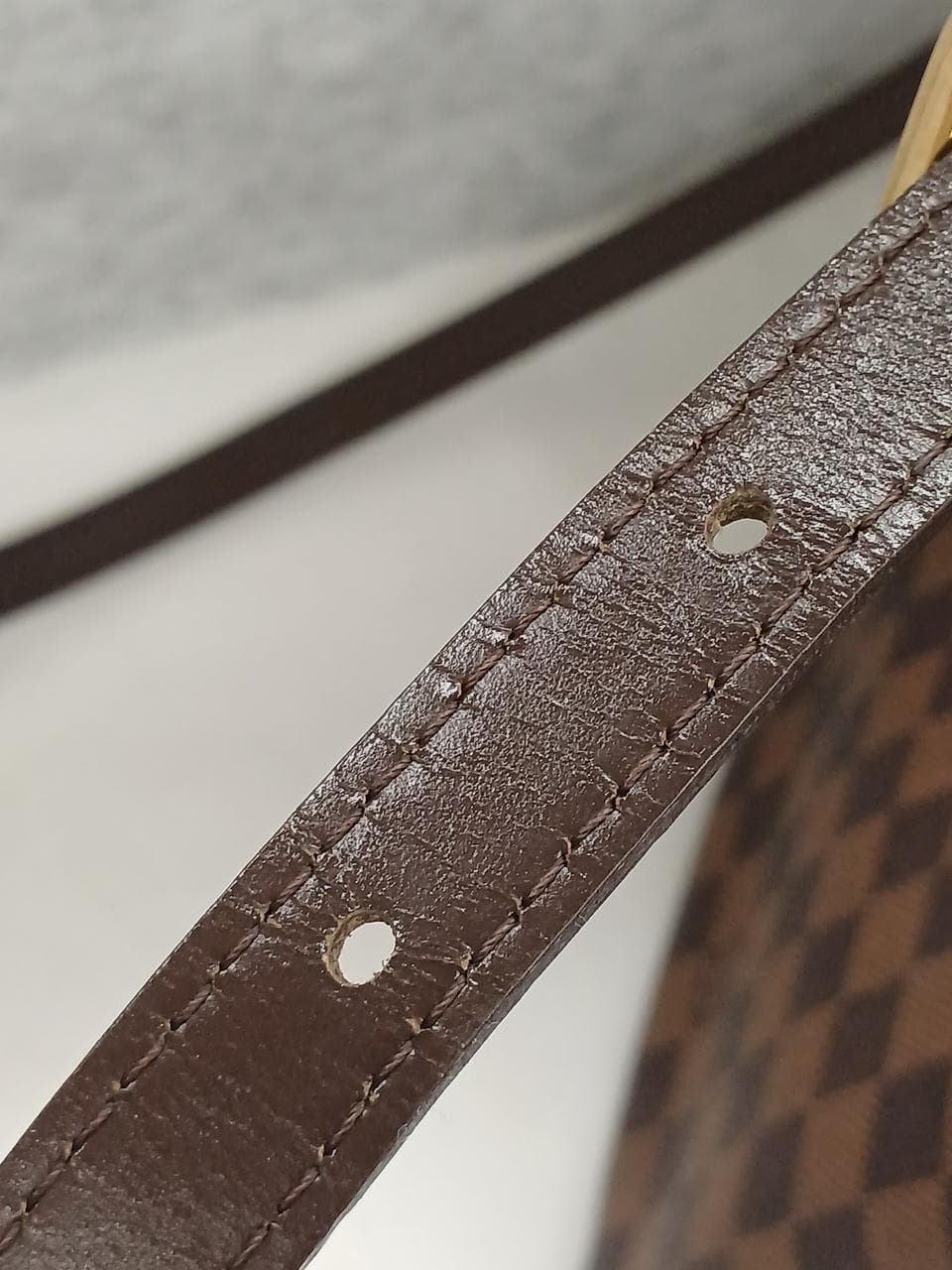 Buzzs Roseberry N41178 11