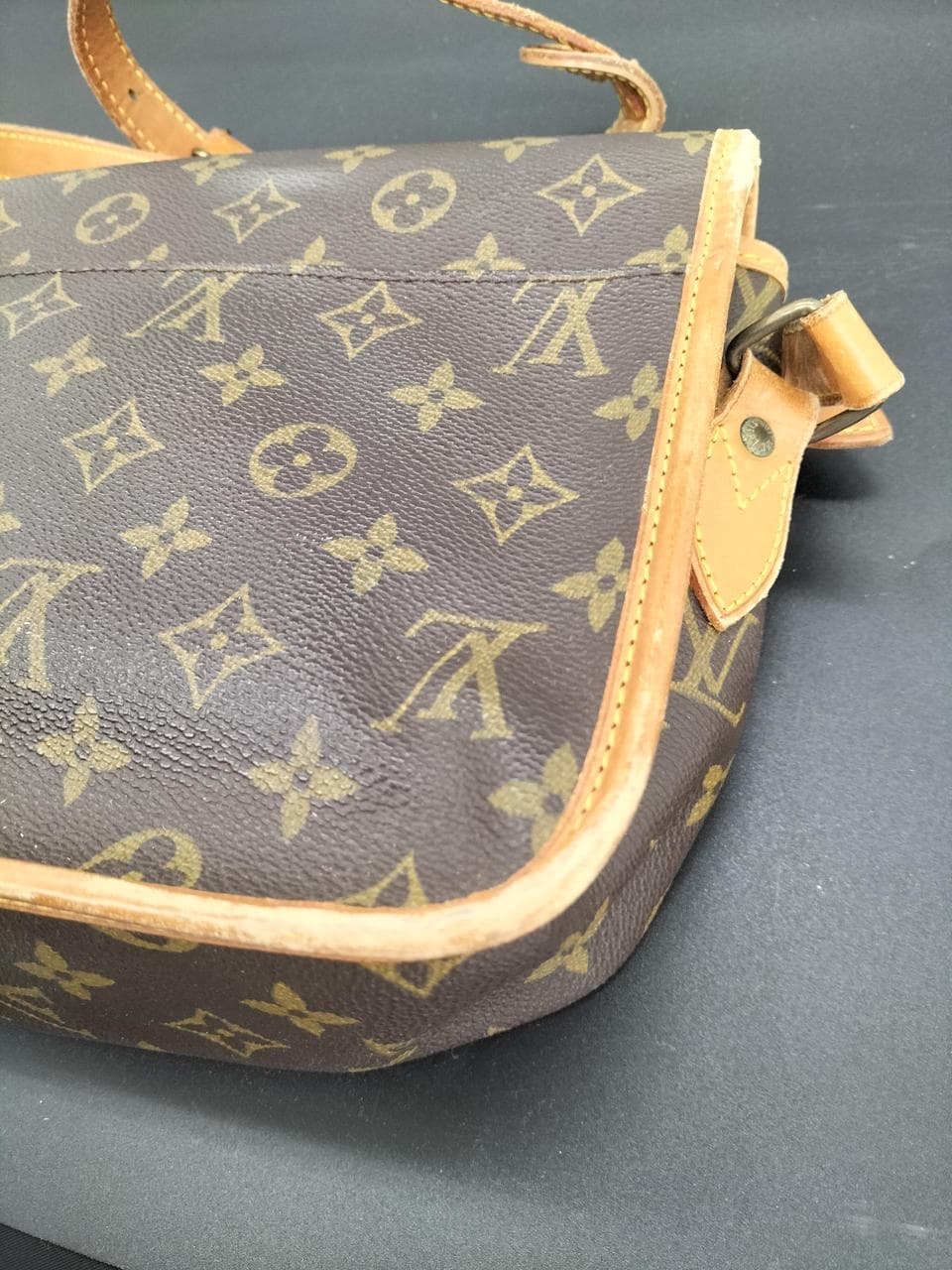 Gibusier MM M42247 12