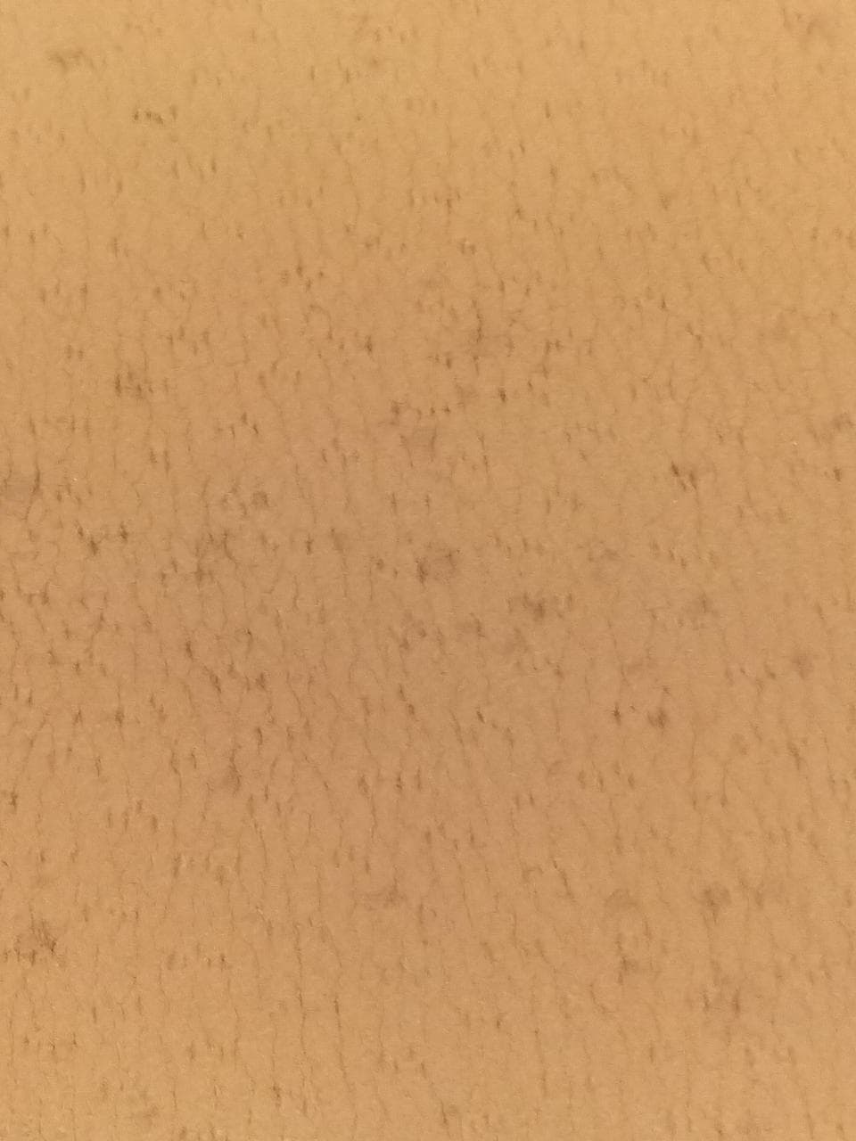 Handbag AF-21 4379 8