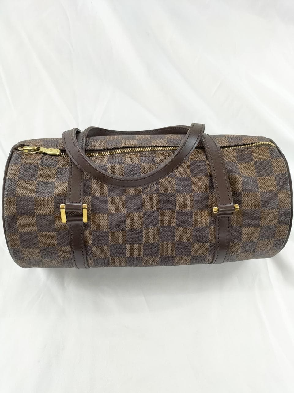 Papillon 26 N51304