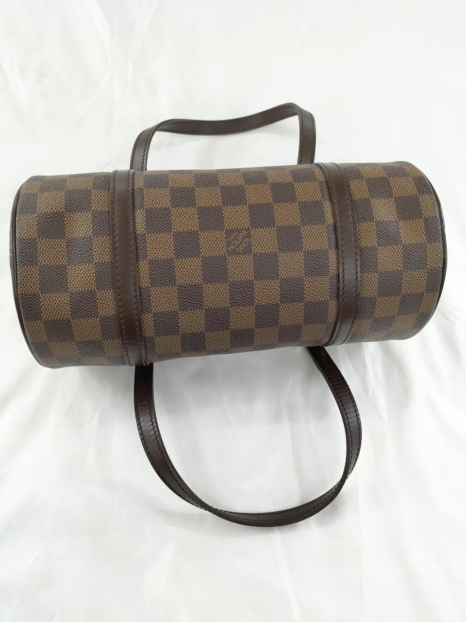 Papillon 26 N51304 4