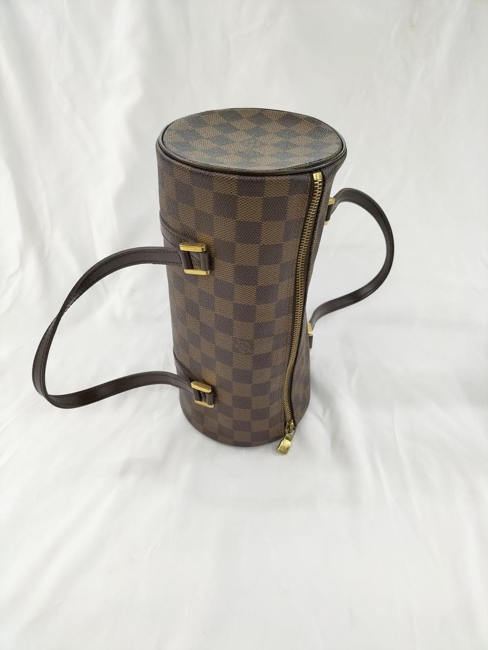 Papillon 26 N51304 8