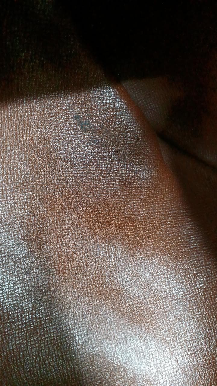 Papillon Old Model M51385 9