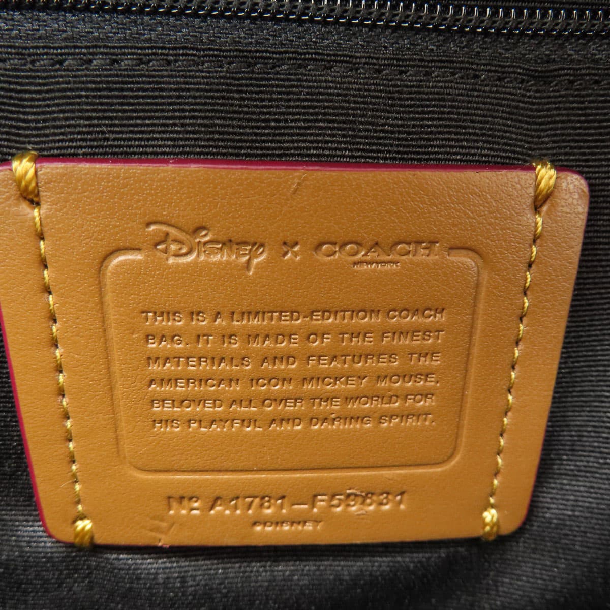 Coach F59831 Disney Collaboration Backpack Daypack Nylon Material Ladies [Used] [COACH] F59831 6