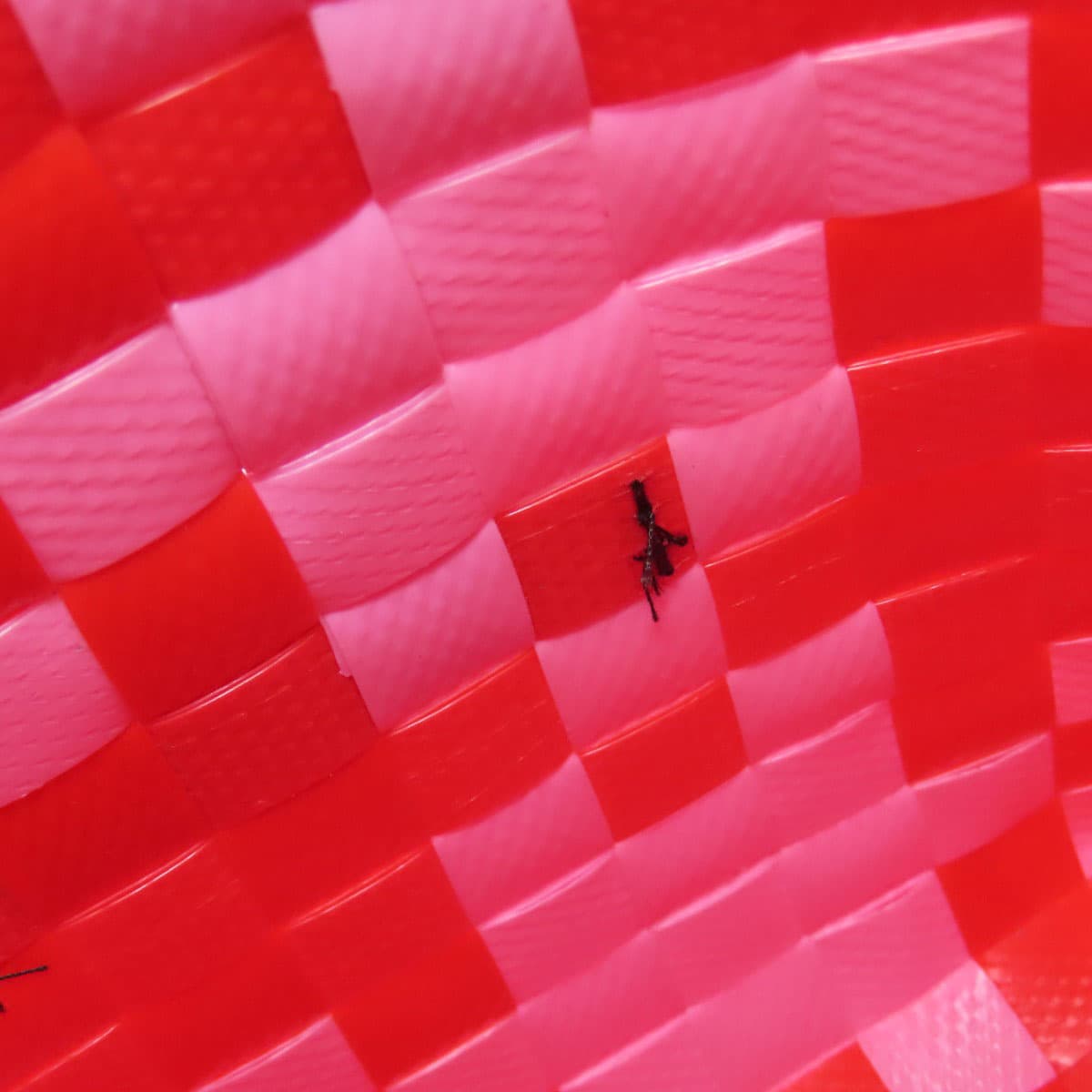 Marni Kids Basket Bag Diamond Handbag Polypropylene Ladies [Used] [MARNI] 6