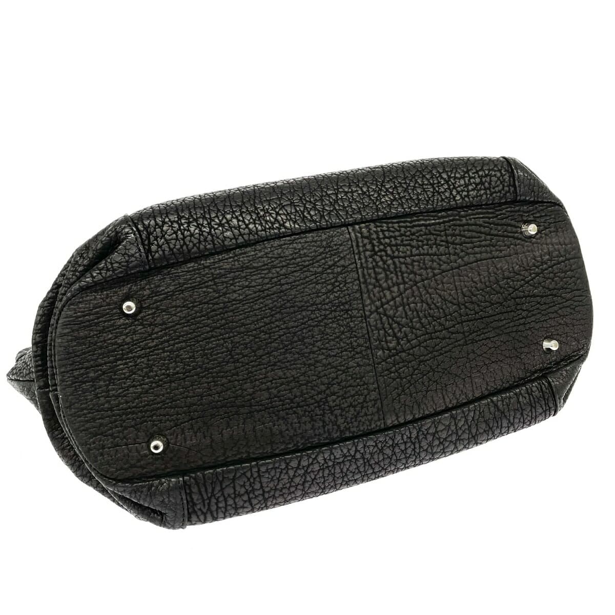 Sharkskin tote bag JRA certified / exotic leather Black ladies 4