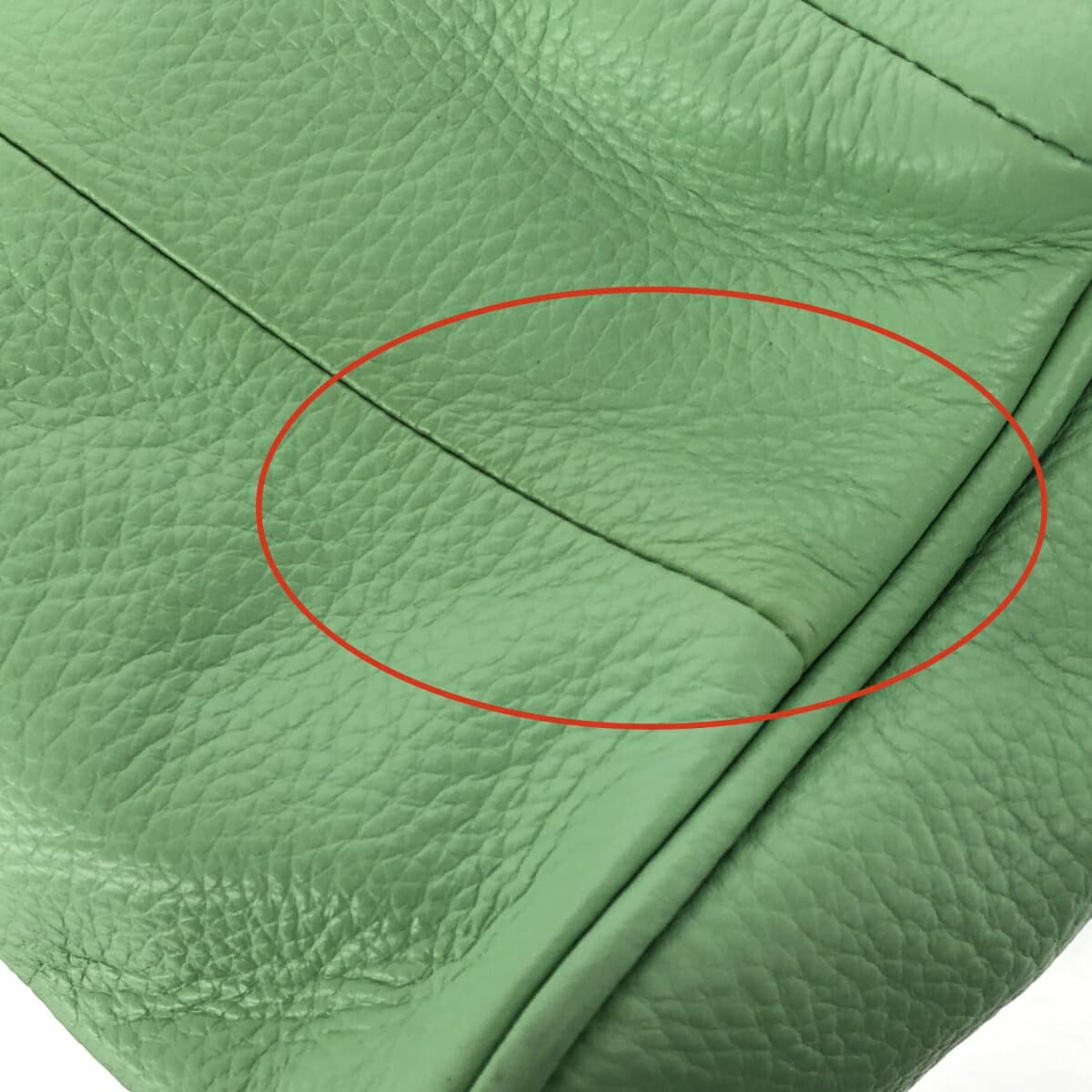 DIANA 2WAY bag like new leather green for women 11