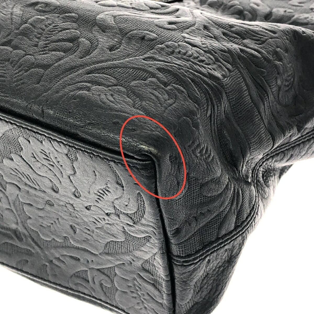 PLINIO VISONA 2WAY Bag - Embossed/Leather - Black - Women's 10