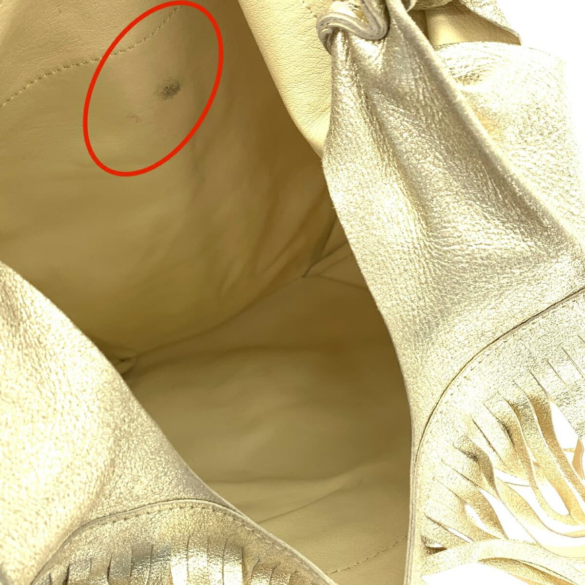 ANITA BILARDI handbag in good condition, leather, gold color, for ladies 6