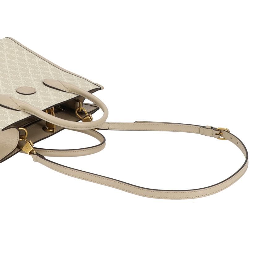 GUCCI GG Supreme 2WAY Shoulder Bag 659983 525*** A Rank 05 [Used] 659983 5