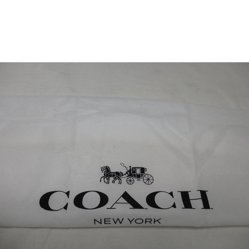 COACH Willow Saddle Bag Light Blue CA094 C22** A Rank 84 [Used] CA094 10