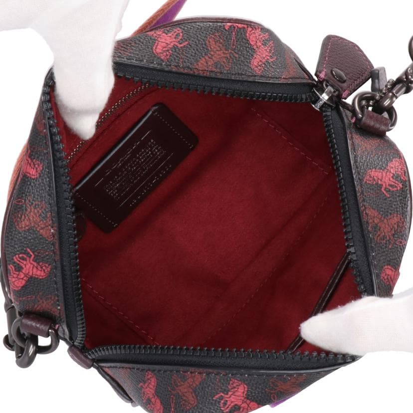 COACH Carriage Logo Camera Pouch Shoulder Bag 79368 J19** A Grade 91 6