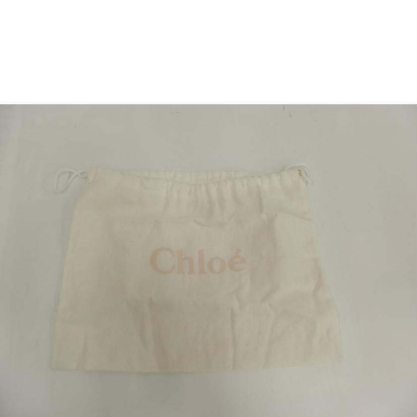 Chloe Mini Elsee Chain Shoulder Bag AB Rank 82 [Used] 7