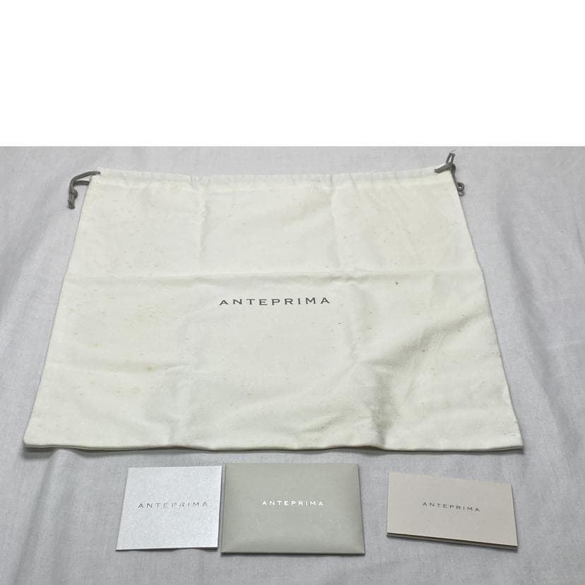 ANTEPRIMA Wire Bag AB Rank 52 [Used] 12