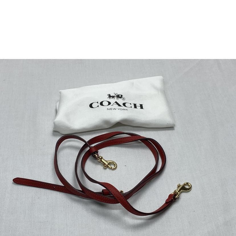 COACH Dreamer 21 67021 J18** AB Rank 52Used 67021 13